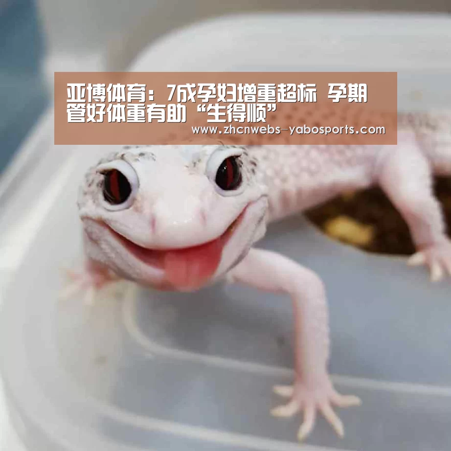 亚博体育